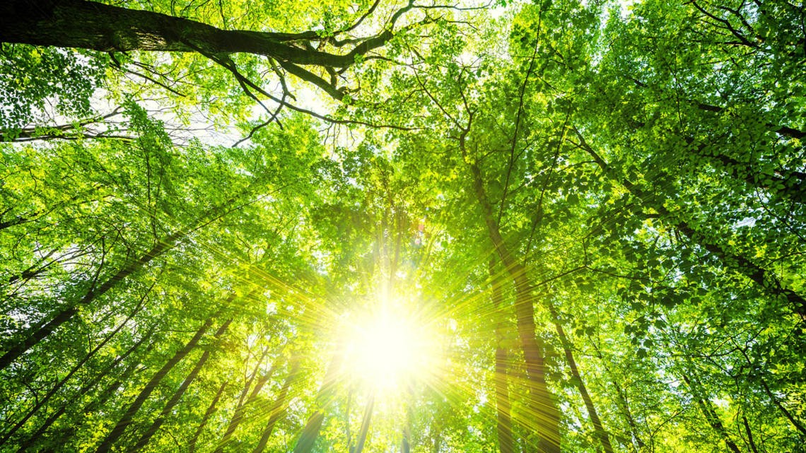 Activités de pleine nature